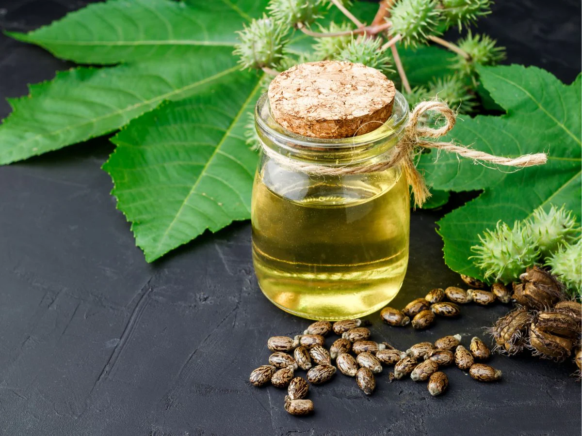 Undecylenic Acid Benefits: Uses, Applications & Complete Guide