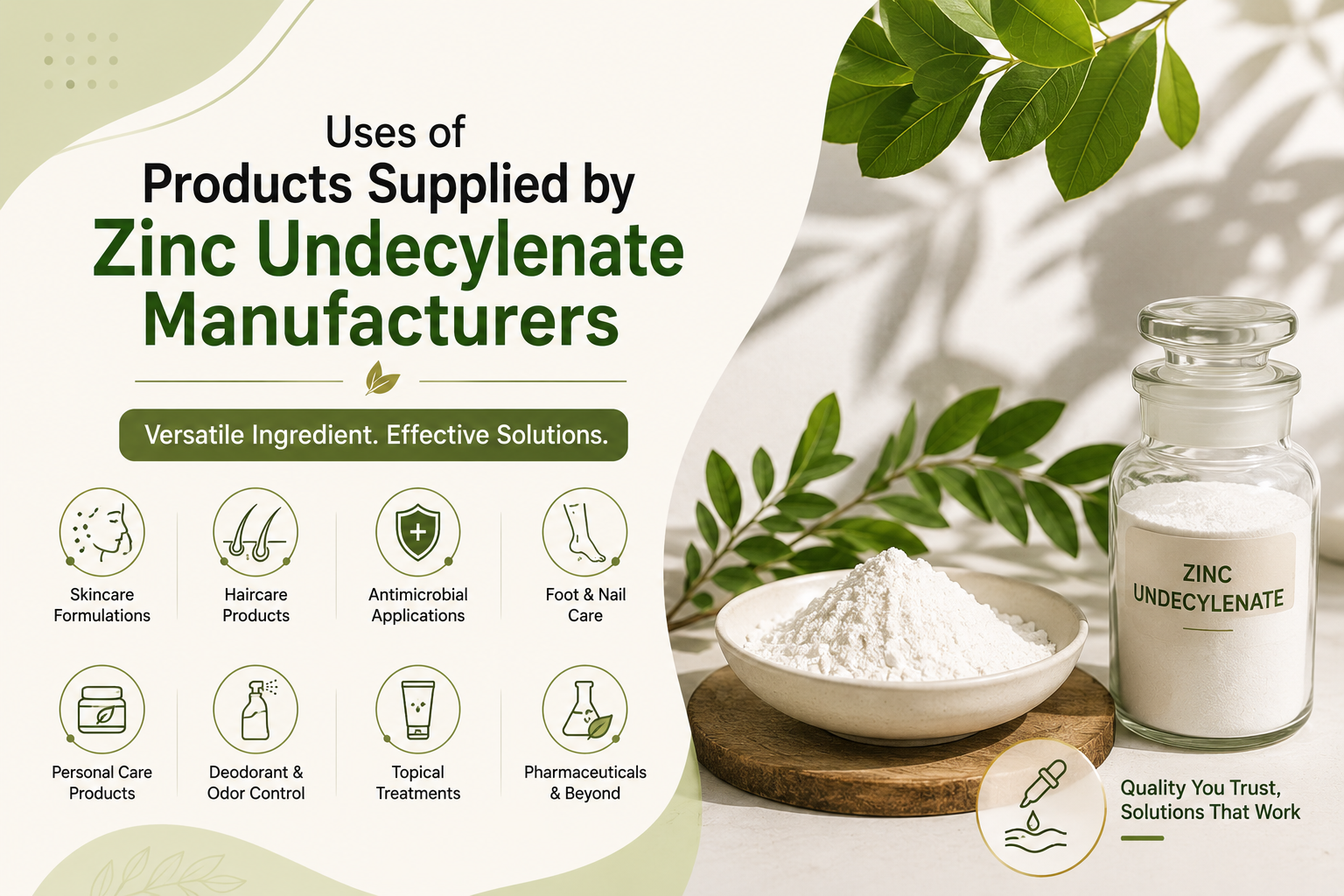 Uses of Products Supplied by Zinc Undecylenate Manufacturers